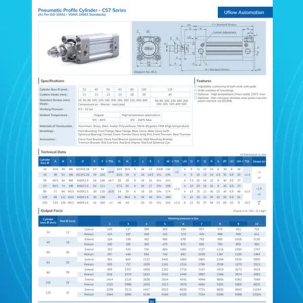 PNEUMATIC PROFILE CYLINDER - Image 2